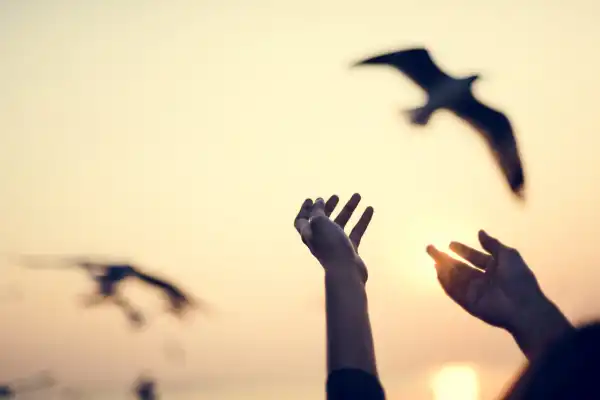 Hands reaching upward with birds flying symbolizing grief and loss counselling at Blue Shores Counselling in Collingwood and Stayner.